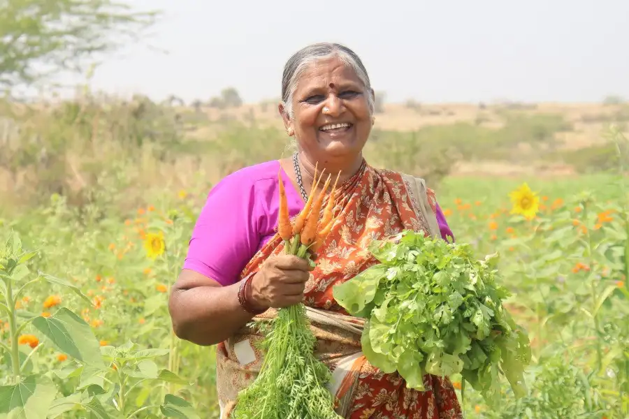 The initiatives supported include the smallholder Timbaktu Collective, which campaigns for organic farming and women's rights in southern India.
© Timbaktu Collective The initiatives supported include the smallholder Timbaktu Collective, which campaigns for organic farming and women's rights in southern India.