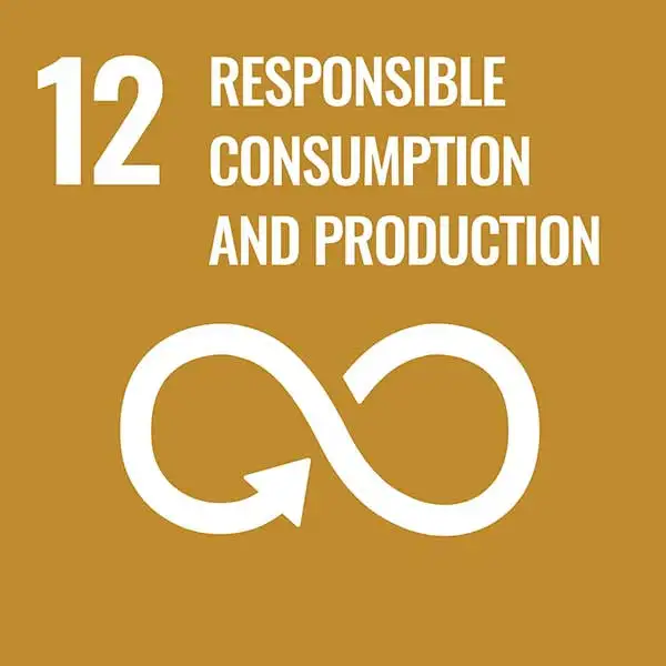 Goal 12: Responsible consumption and production Goal 12: Responsible consumption and production