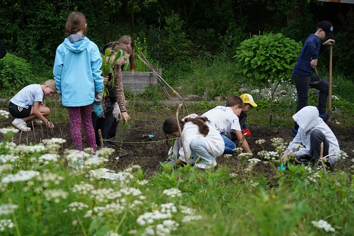 Un huerto escolar necesita continuidad, pero ofrece muchas oportunidades.