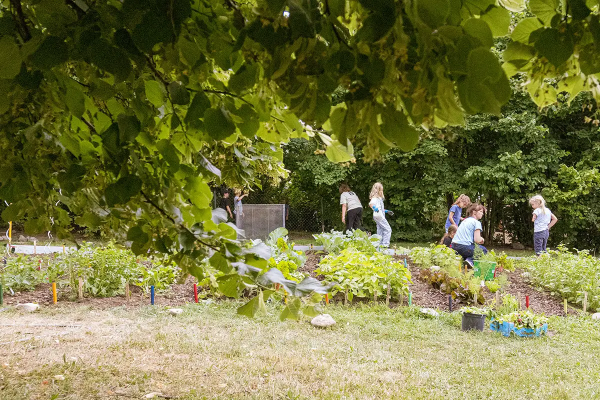 Experimentar conscientemente los ciclos naturales crea vínculos.