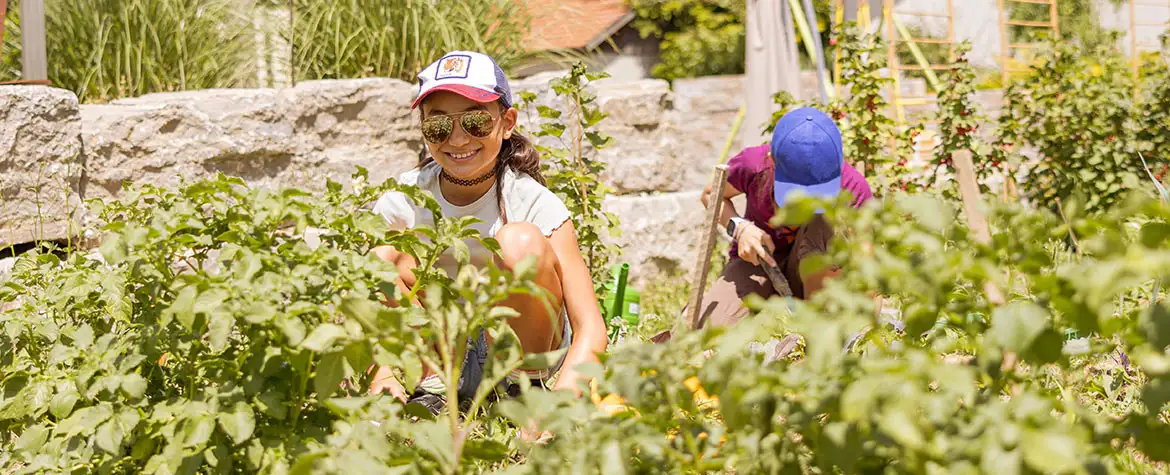 A la mayoría de los niños les gusta cosechar, pero plantar verduras también es una experiencia especial. A la mayoría de los niños les gusta cosechar, pero plantar verduras también es una experiencia especial.