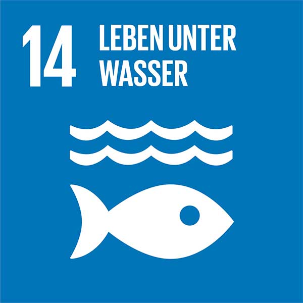 UN-Nachhaltigkeitsziel 14: Leben unter Wasser