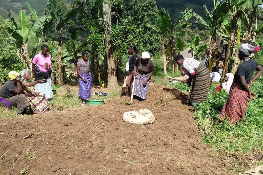 GWEFODE bietet auch Schulungen im ökologischen Gartenbau an